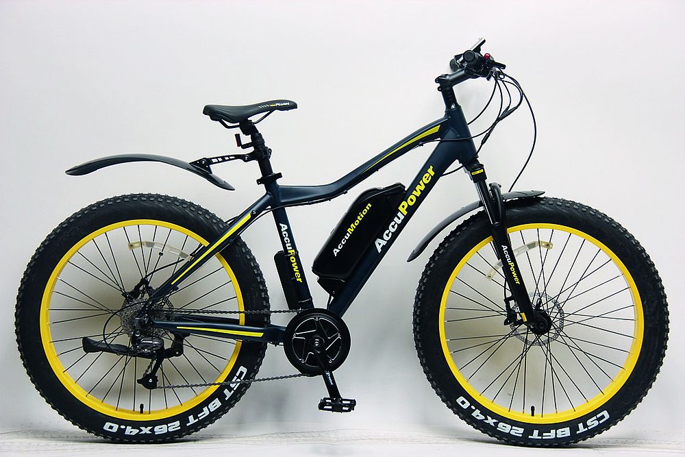 E-Bike-Akku-Careservice AccuPower